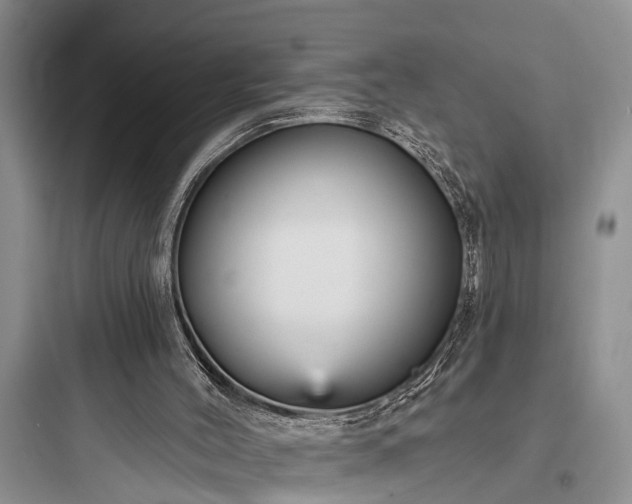 X0000097910004200803211515