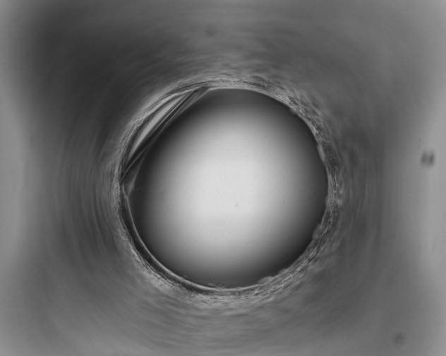 X0000097910005200803211515