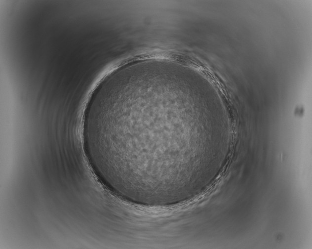 X0000097910006200803211515