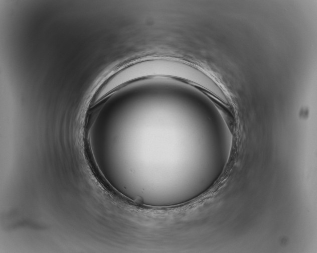 X0000097910007200803211515