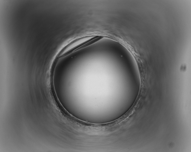 X0000097910008200803211515