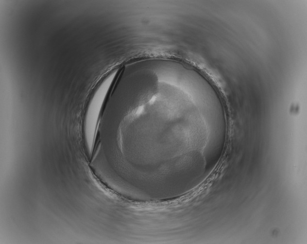 X0000097910009200803211515