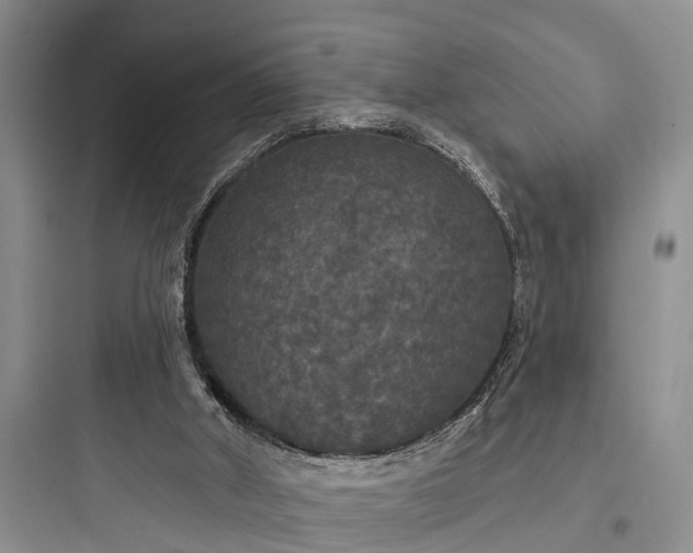 X0000097910010200803211515