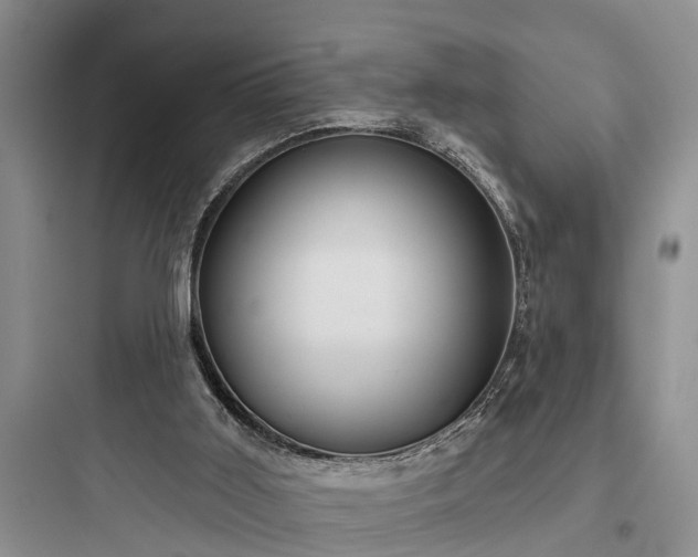 X0000097910011200803211515