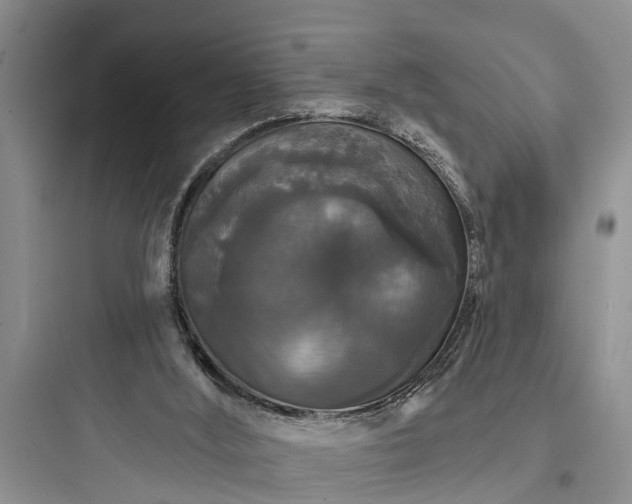 X0000097910012200803211515