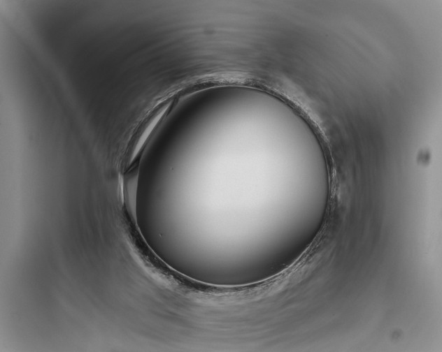 X0000097910013200803211515