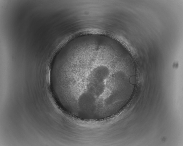 X0000097910014200803211515