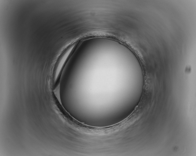 X0000097910015200803211515