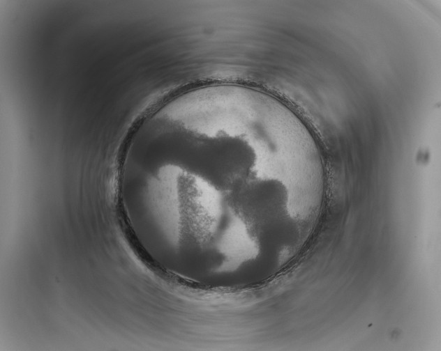 X0000097910016200803211515