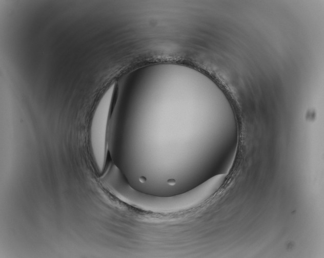 X0000097910017200803211515