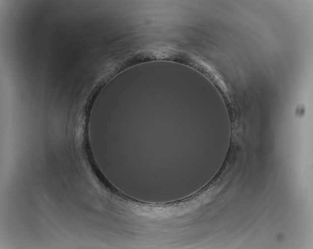 X0000097910018200803211515