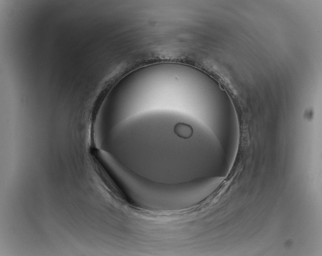 X0000097910019200803211515