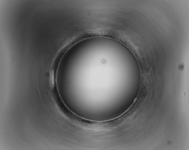 X0000097910020200803211515