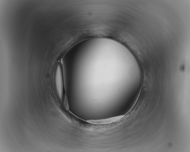 X0000097910021200803211515