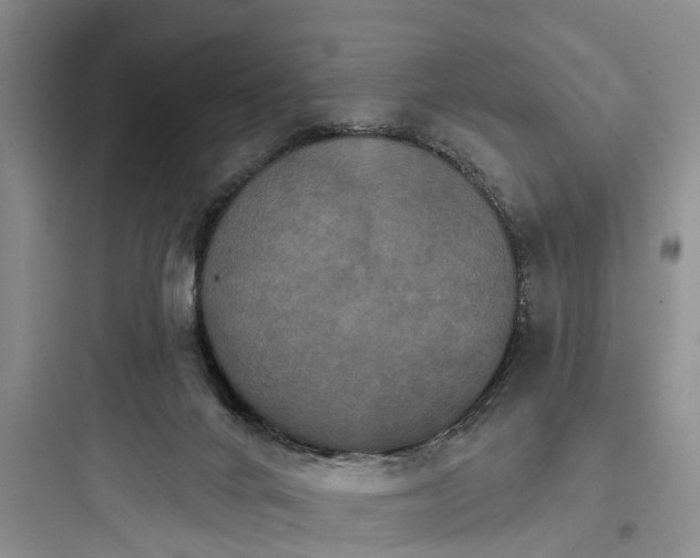 X0000097910024200803211515