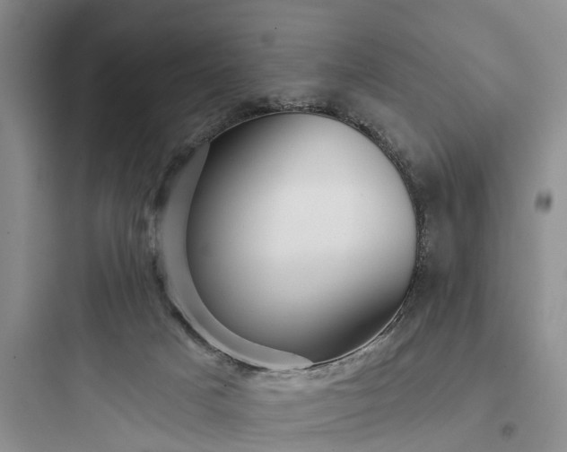 X0000097910025200803211515