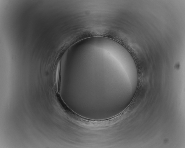 X0000097910027200803211515