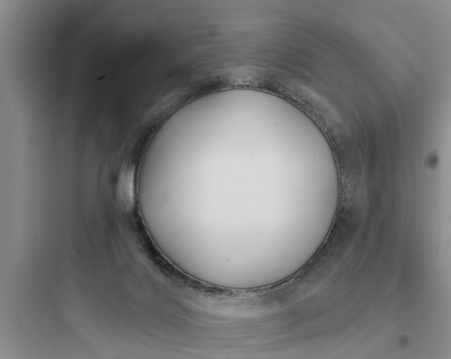 X0000097910028200803211515