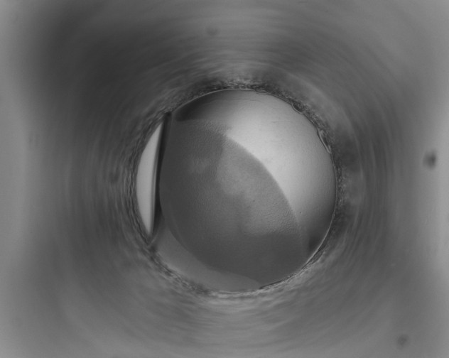 X0000097910029200803211515