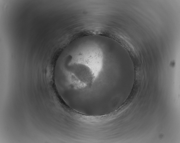 X0000097910030200803211515