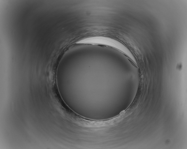 X0000097910031200803211515