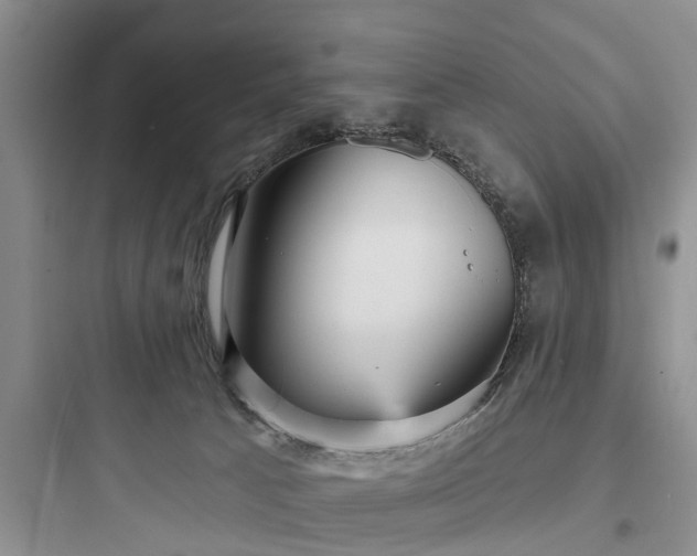 X0000097910033200803211515