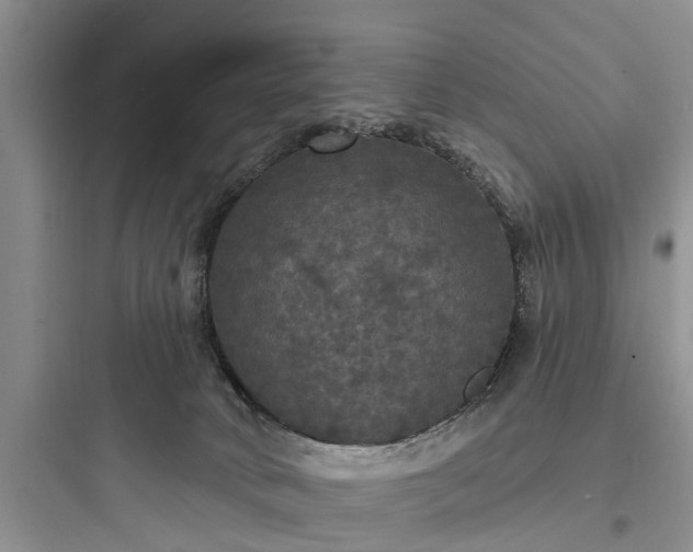 X0000097910034200803211515