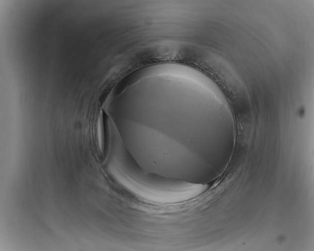 X0000097910035200803211515