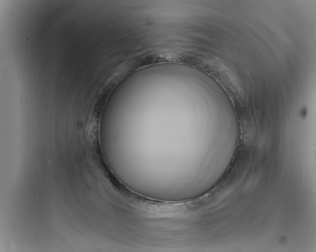 X0000097910036200803211515