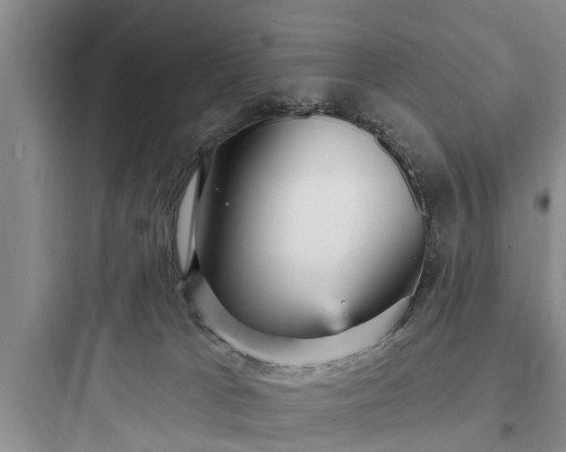 X0000097910037200803211515