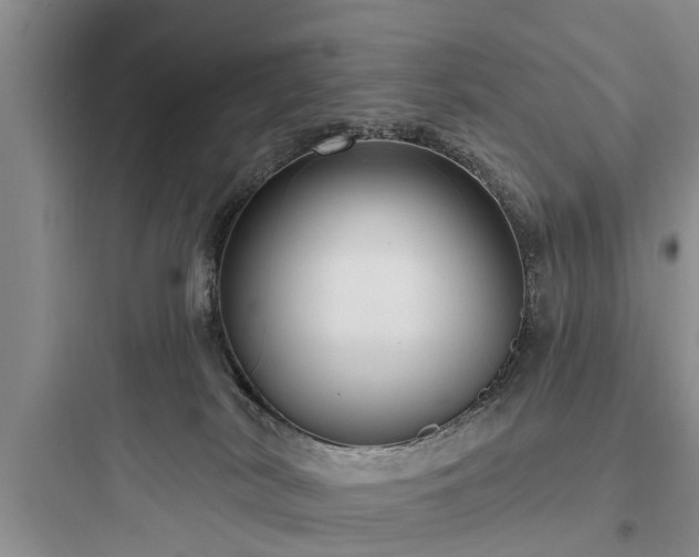 X0000097910038200803211515