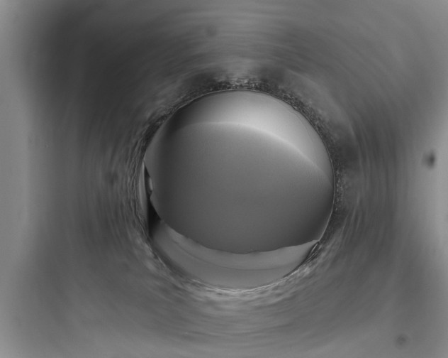 X0000097910039200803211515