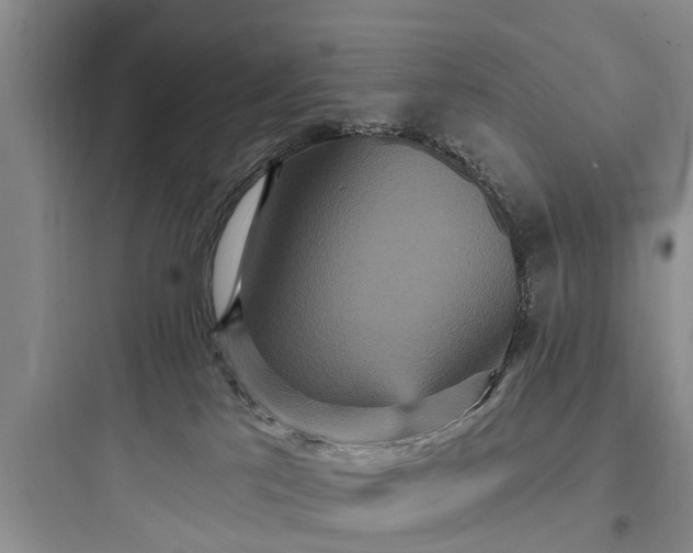 X0000097910041200803211515