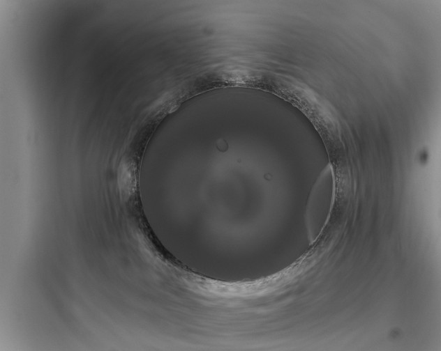 X0000097910043200803211515