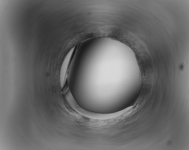 X0000097910045200803211515