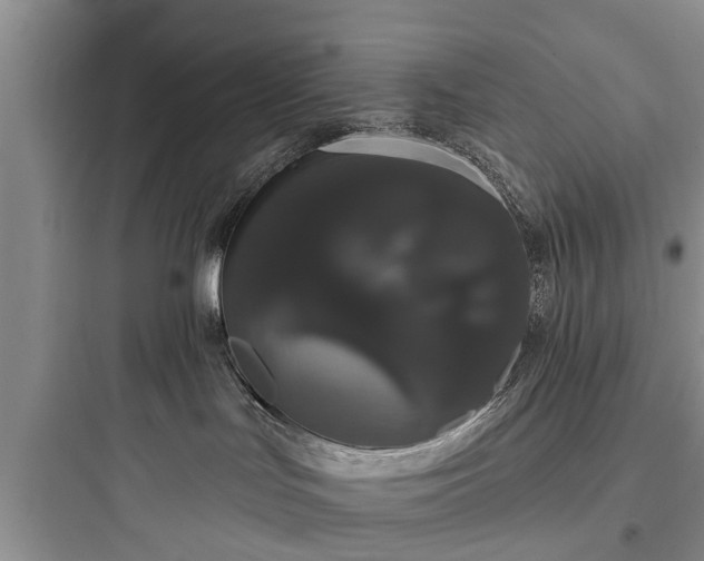 X0000097910047200803211515