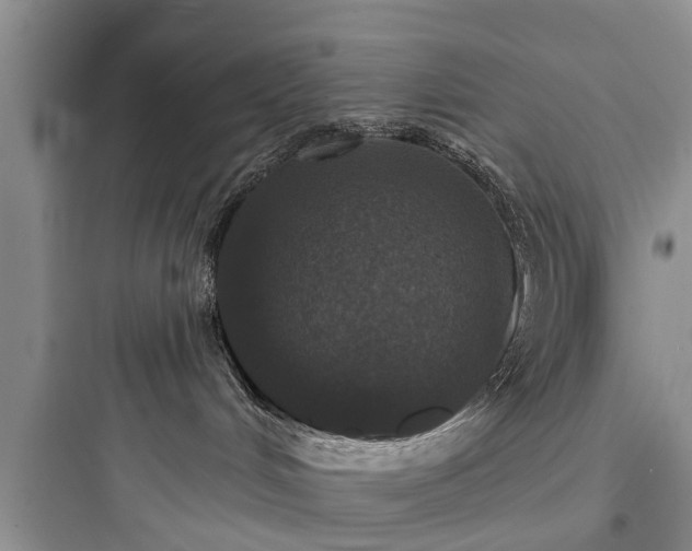 X0000097910048200803211514