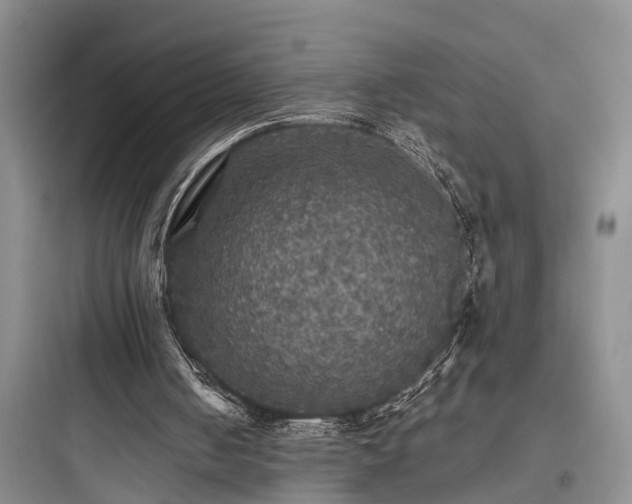 X0000097910050200803211514