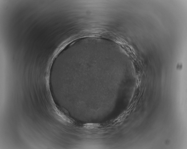 X0000097910051200803211514