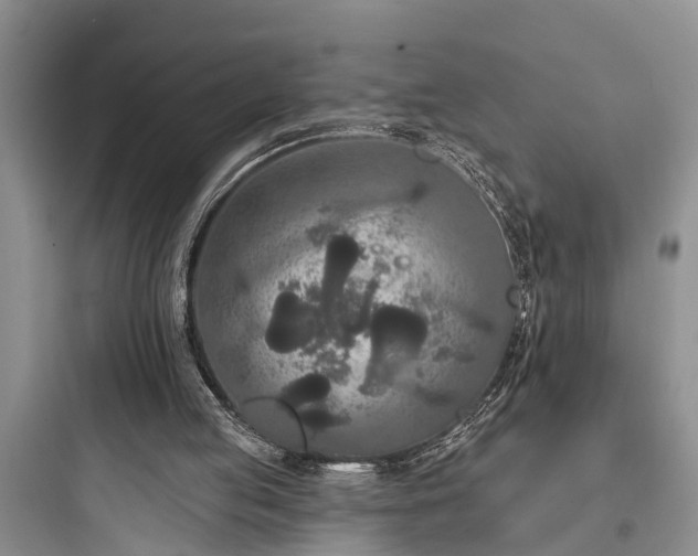 X0000097910053200803211514