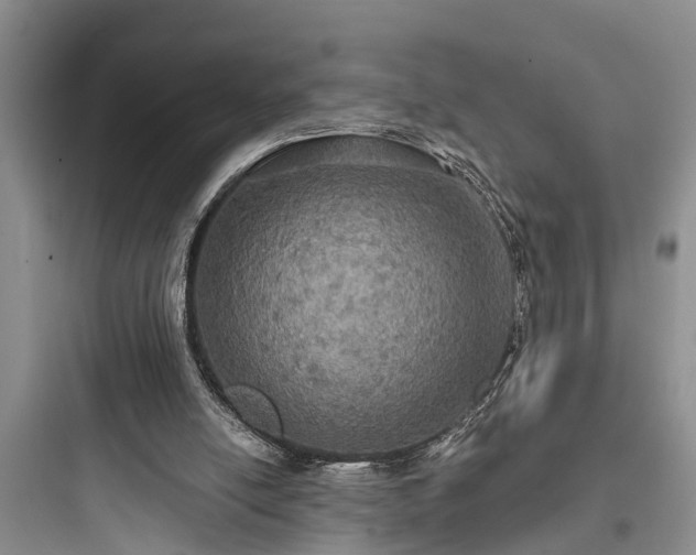 X0000097910054200803211514