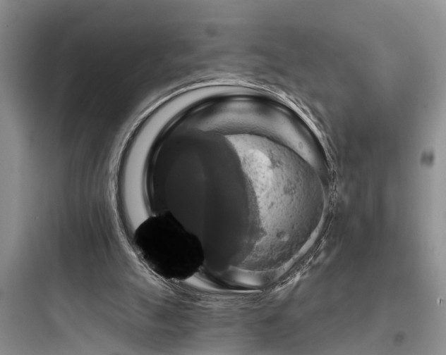 X0000097910055200803211514