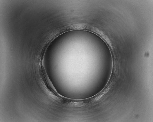 X0000097910057200803211514