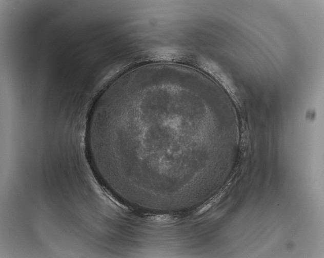 X0000097910058200803211514