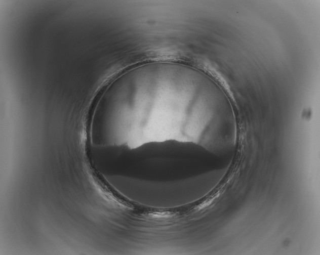 X0000097910059200803211514