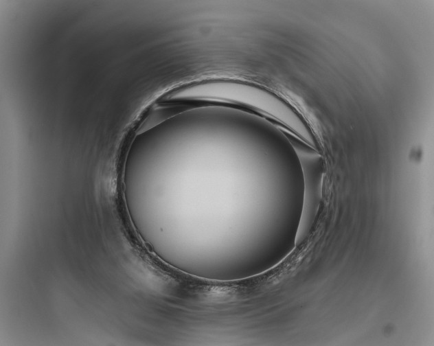 X0000097910060200803211514