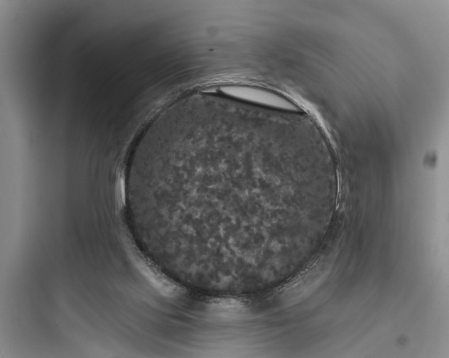 X0000097910061200803211514