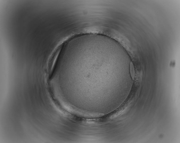 X0000097910064200803211514