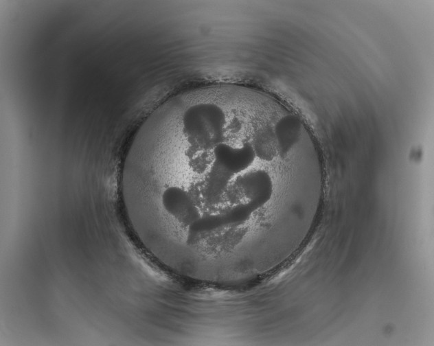 X0000097910065200803211514