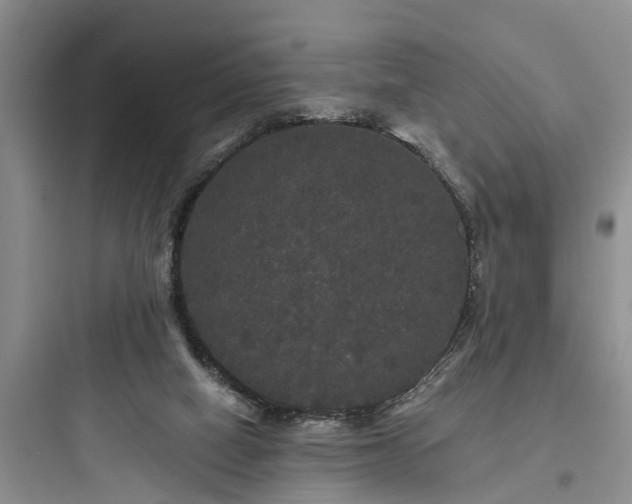 X0000097910066200803211514